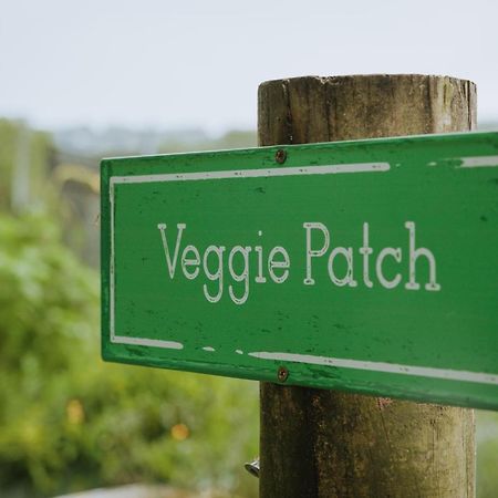 Blackwattle Farm Биъруа Екстериор снимка