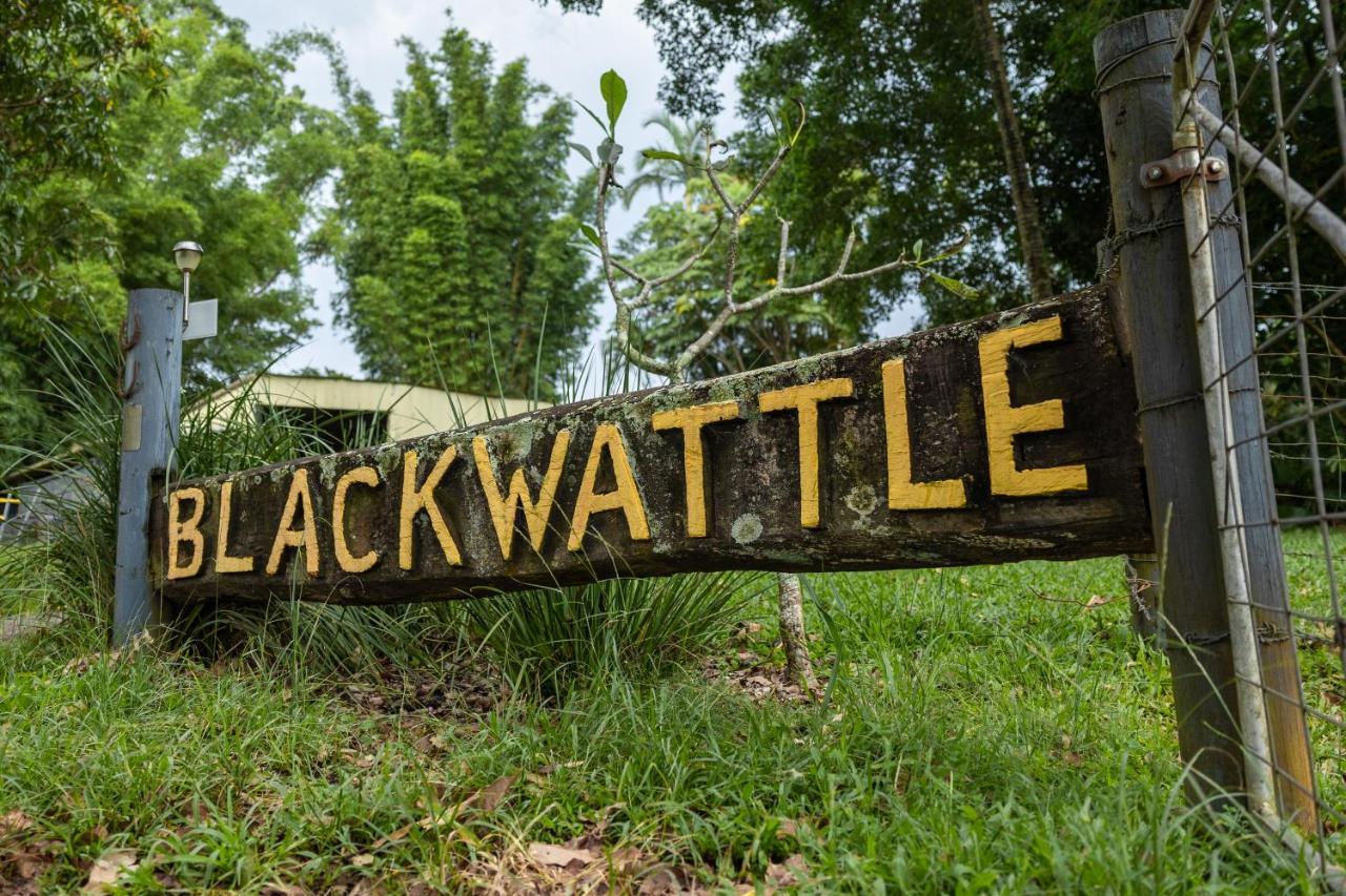 Blackwattle Farm Биъруа Екстериор снимка
