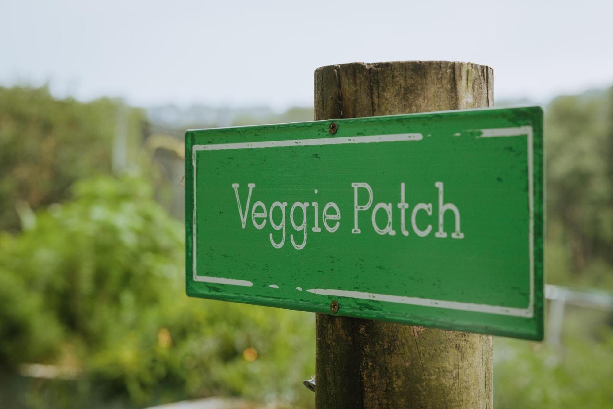 Blackwattle Farm Биъруа Екстериор снимка