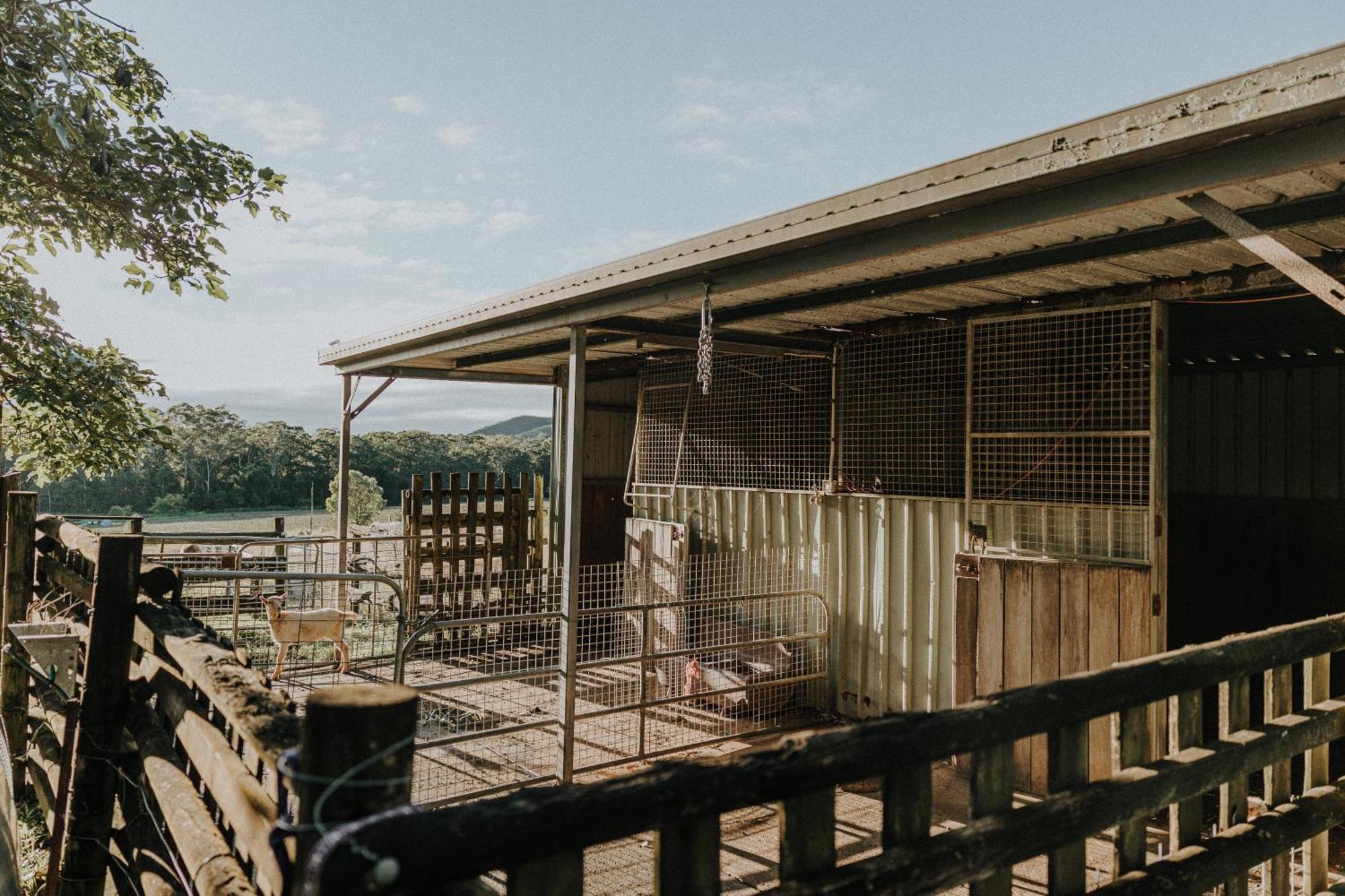Blackwattle Farm Биъруа Екстериор снимка