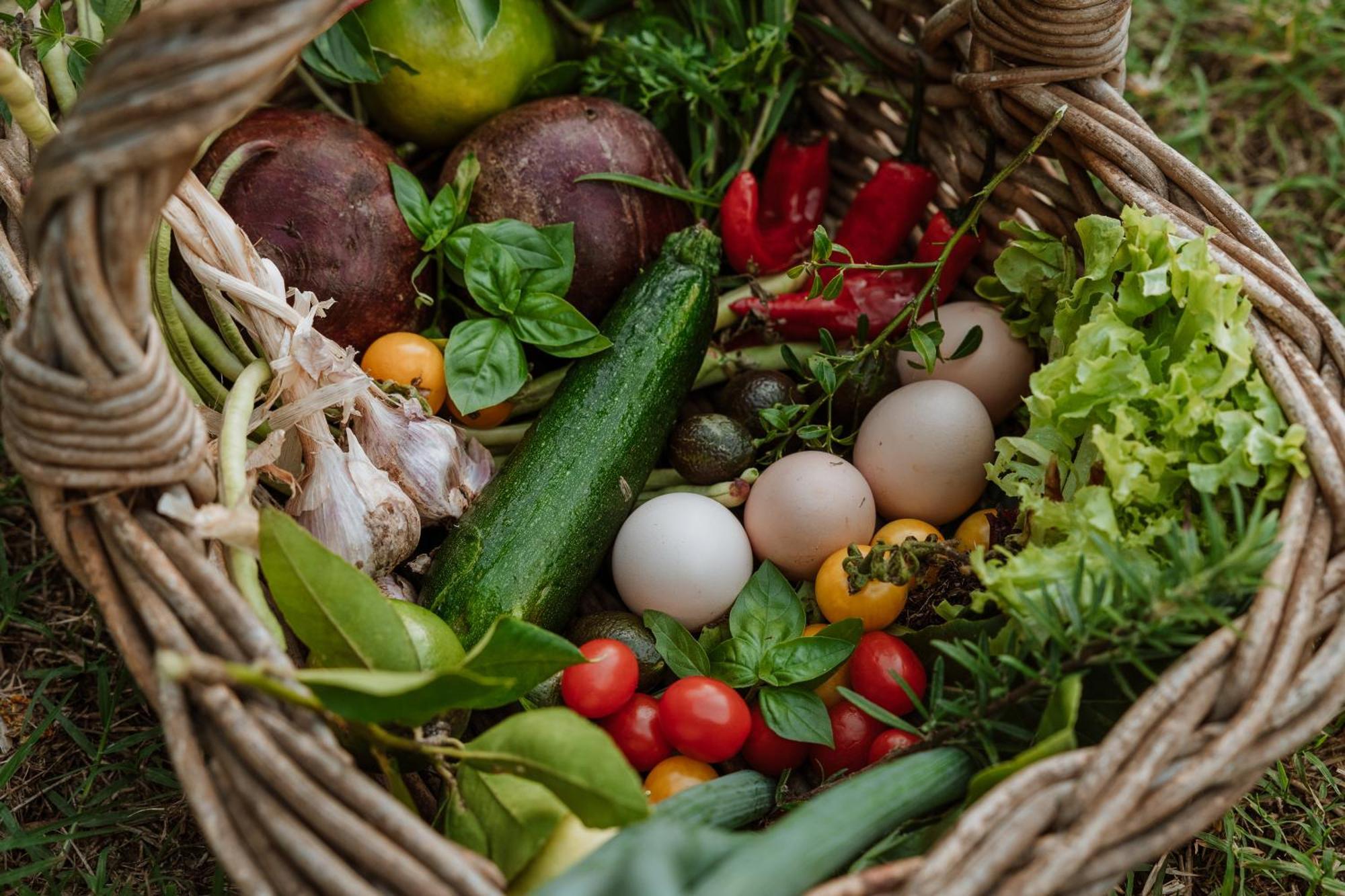 Blackwattle Farm Биъруа Екстериор снимка